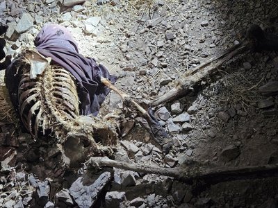 Dead man with a bullet to the head in Sonora, Mexico